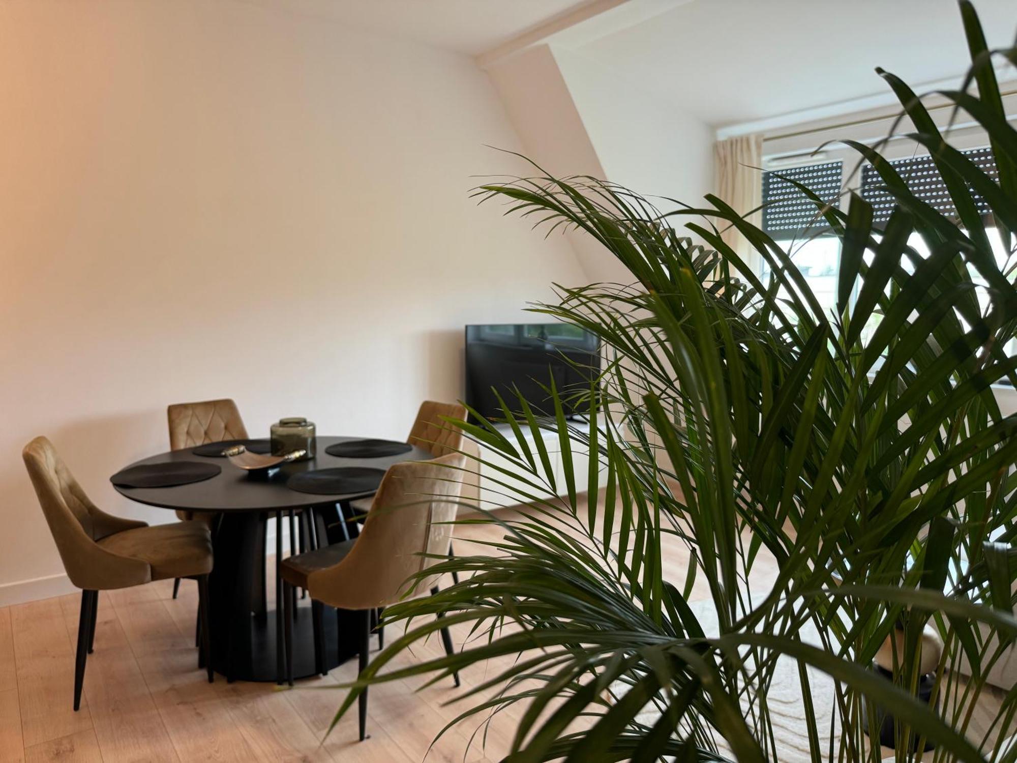 Moon Apartment Torun Ngoại thất bức ảnh